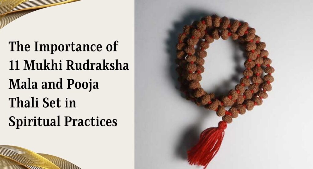 11 Mukhi Rudraksha Mala